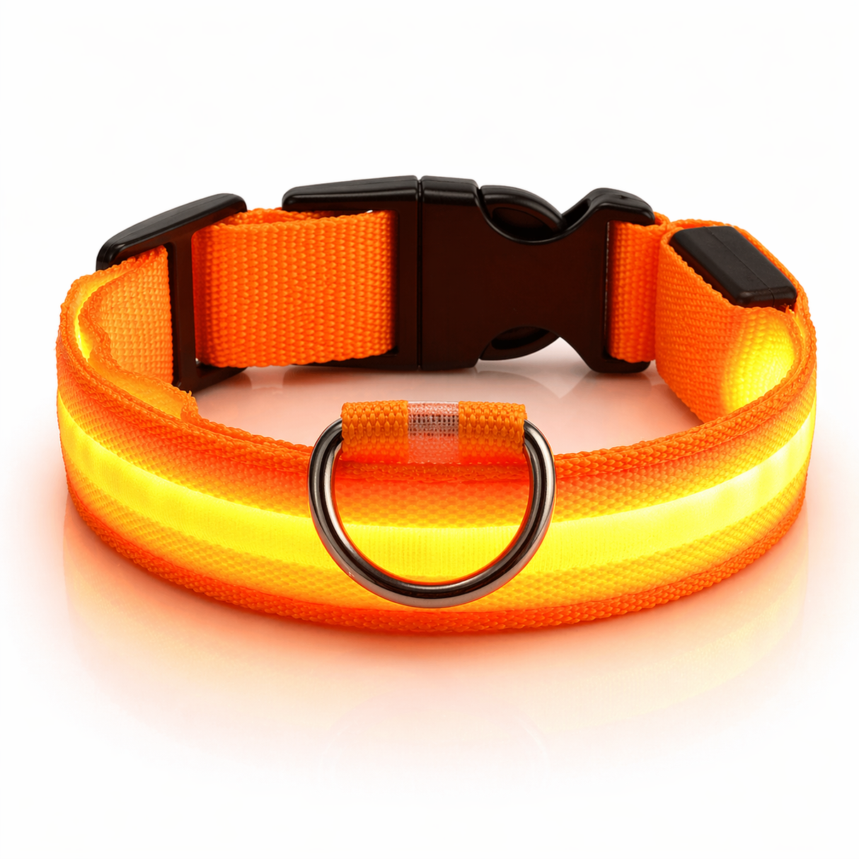 LED Dog Leash - Light-Up Night Safety Leash