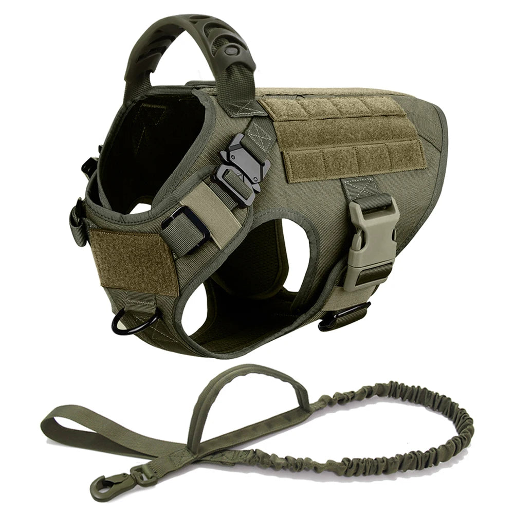 Large Dog Harness & Leash Set - Training Walking Vest