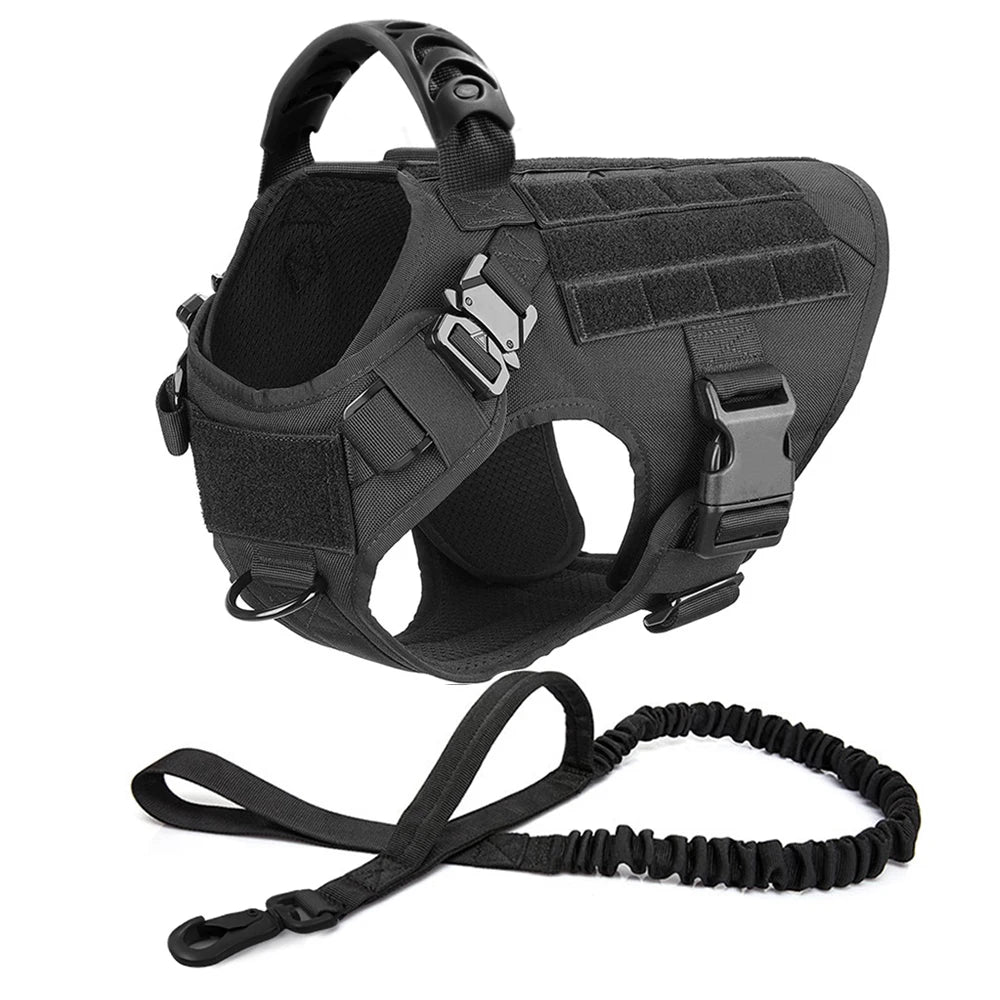 Large Dog Harness & Leash Set - Training Walking Vest