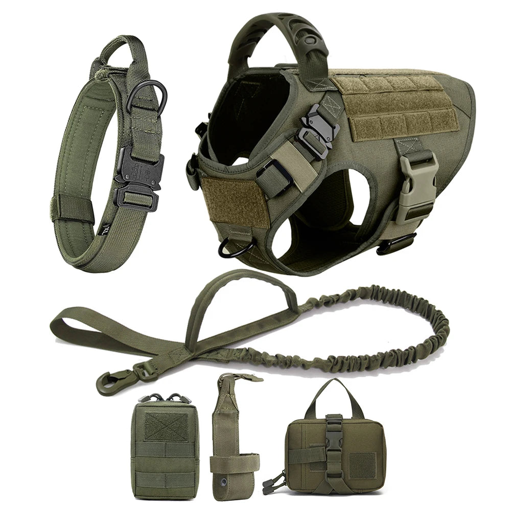 Large Dog Harness & Leash Set - Training Walking Vest