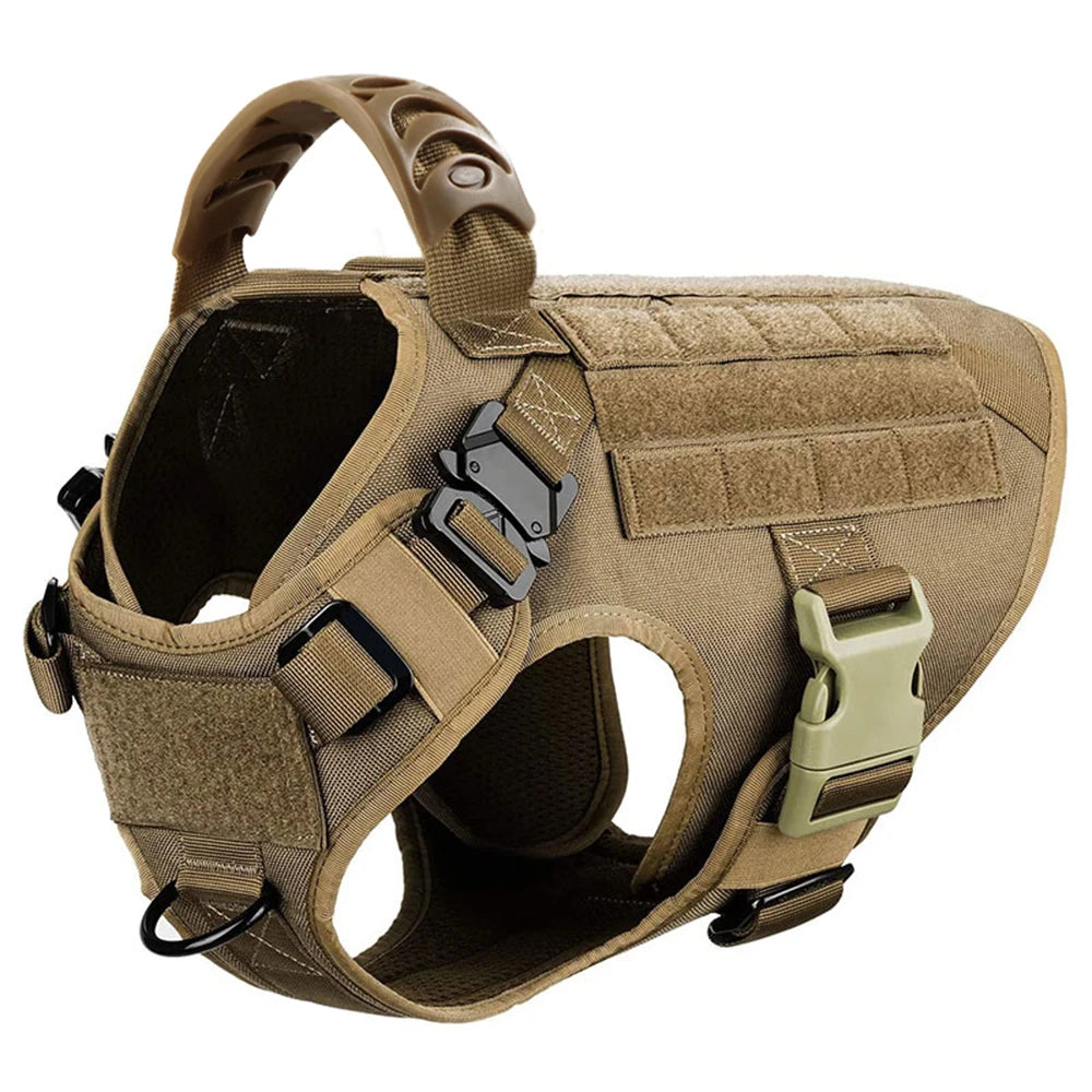 Large Dog Harness & Leash Set - Training Walking Vest