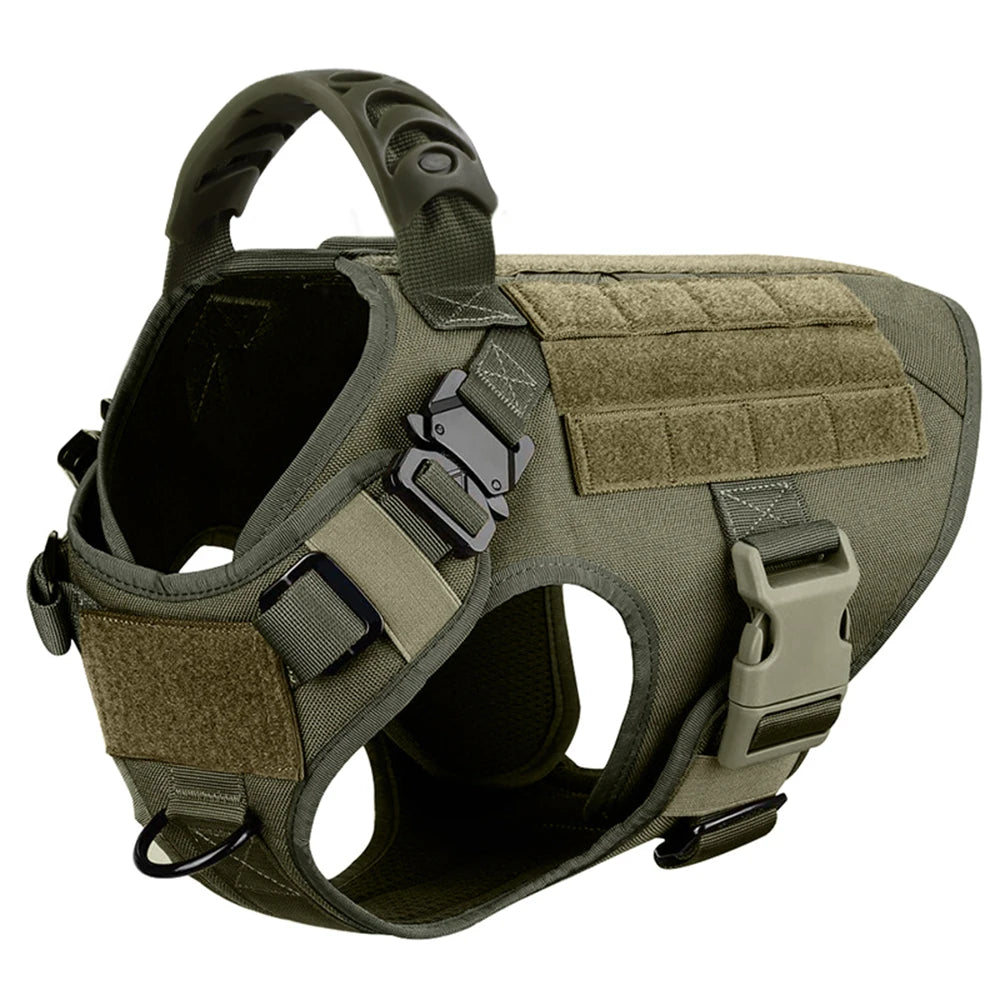 Large Dog Harness & Leash Set - Training Walking Vest