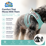Puppy Harness Set - Adjustable Harness for Small Dogs