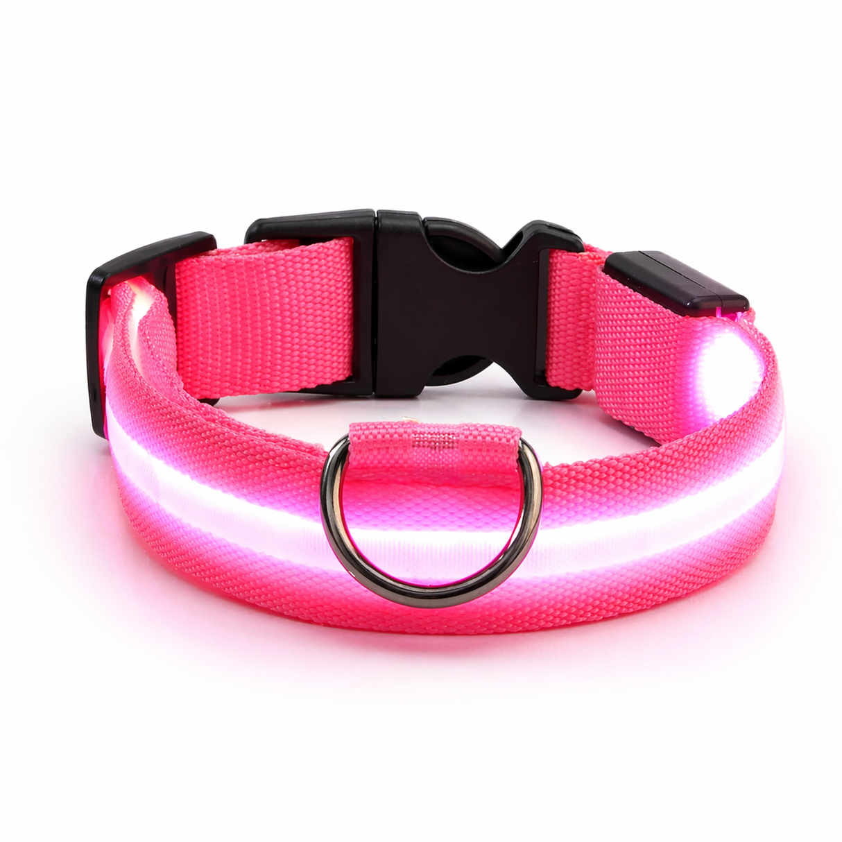 LED Dog Leash - Light-Up Night Safety Leash