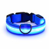 LED Dog Leash - Light-Up Night Safety Leash