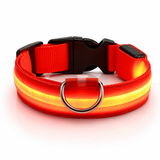 LED Dog Leash - Light-Up Night Safety Leash