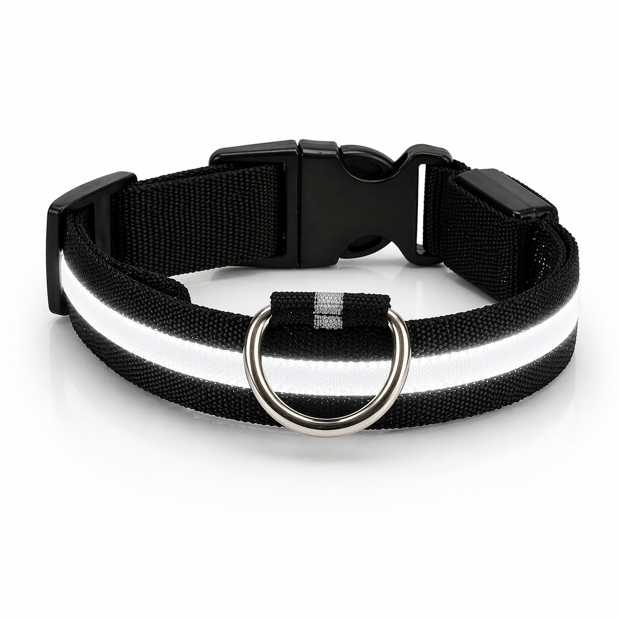LED Dog Leash - Light-Up Night Safety Leash
