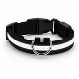 LED Dog Leash - Light-Up Night Safety Leash