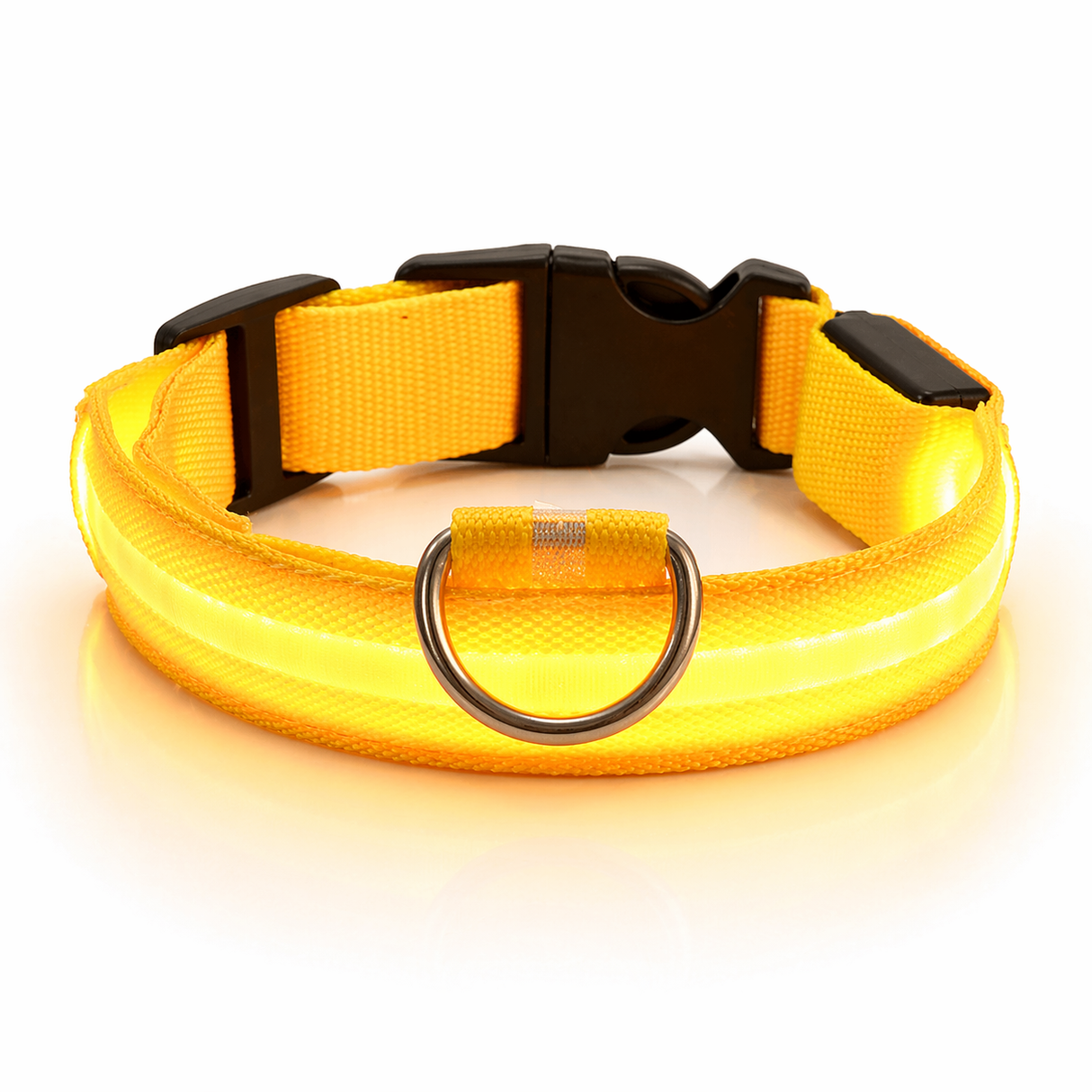 LED Dog Leash - Light-Up Night Safety Leash
