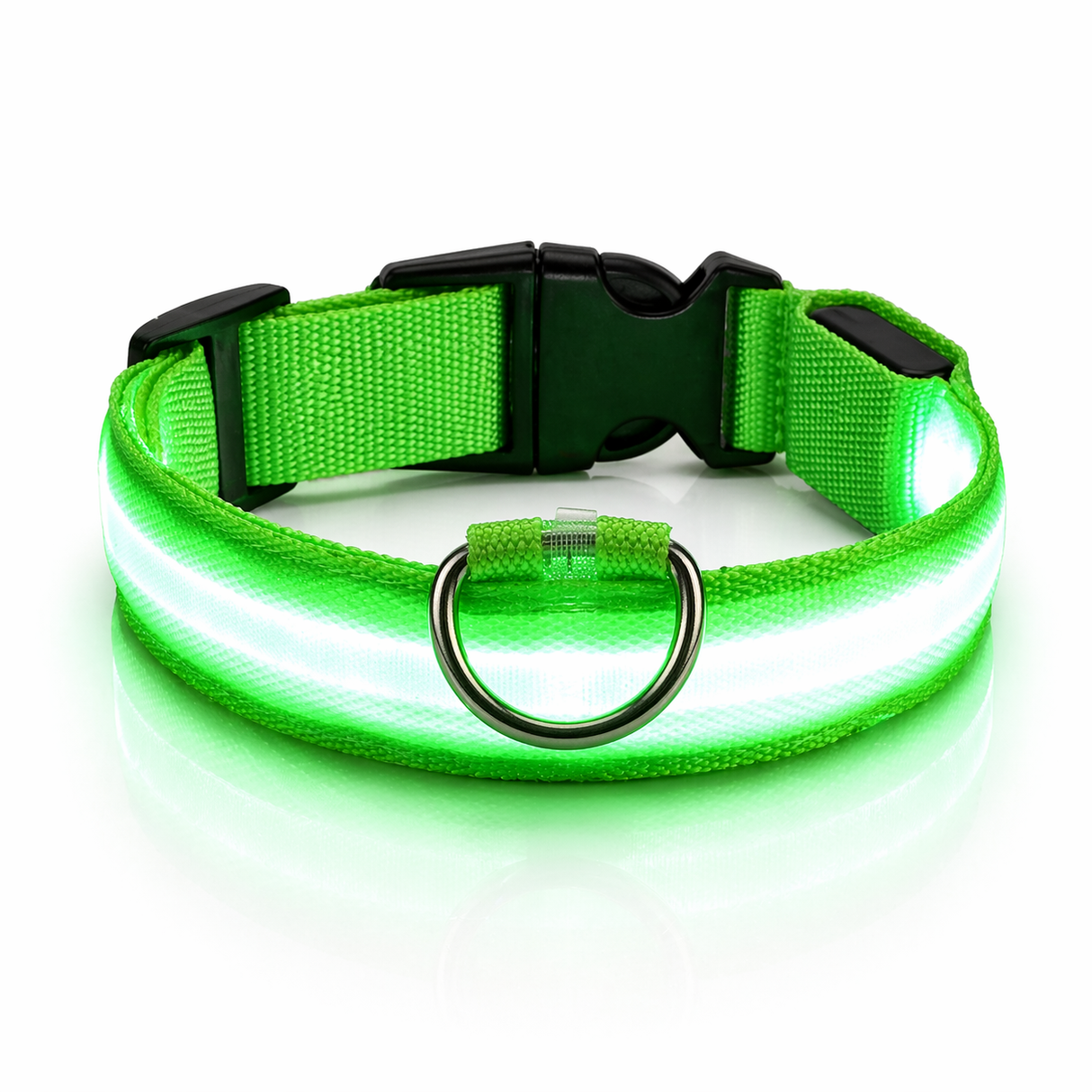 LED Dog Leash - Light-Up Night Safety Leash
