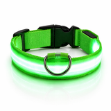 LED Dog Leash - Light-Up Night Safety Leash