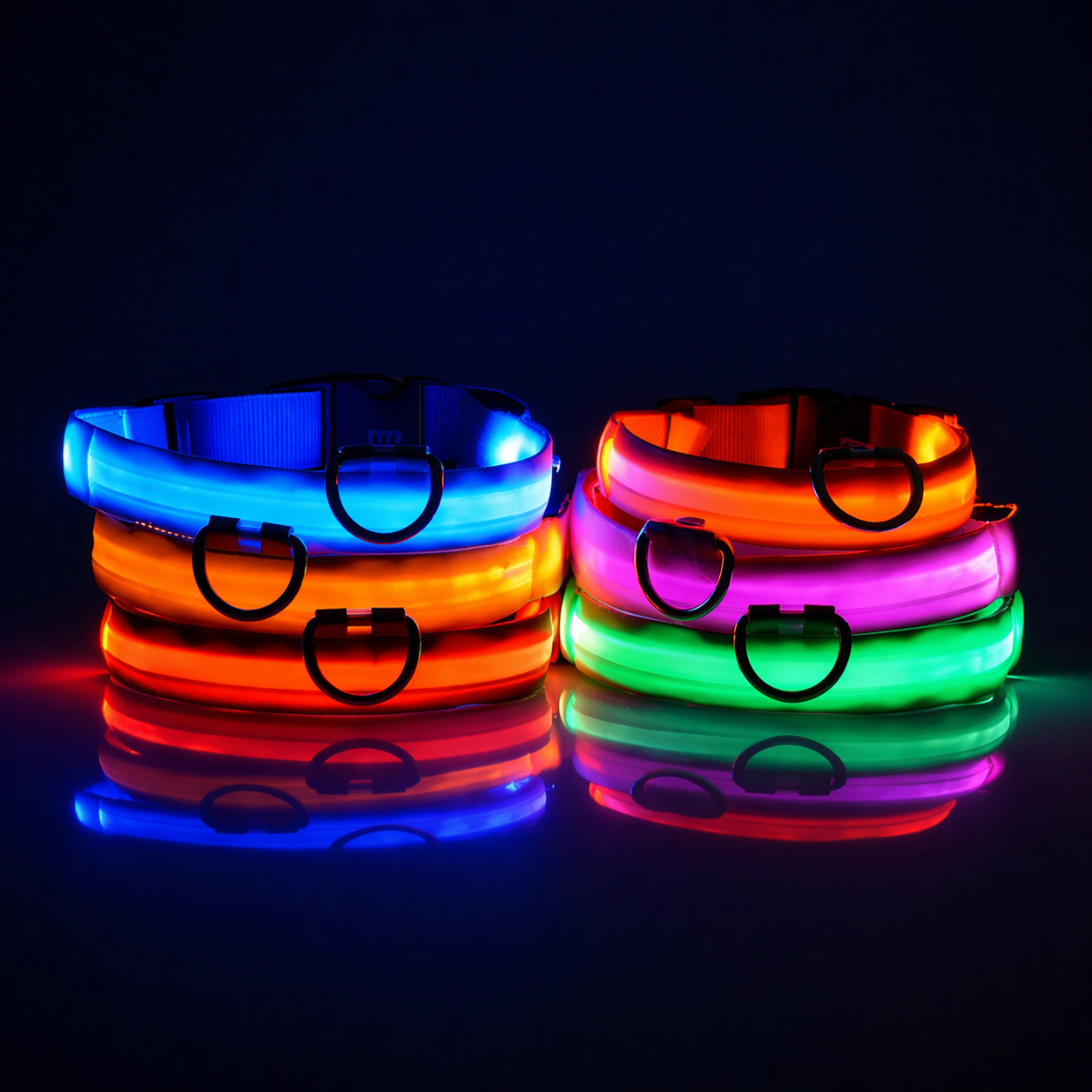 LED Dog Leash - Light-Up Night Safety Leash