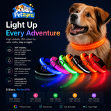 LED Dog Leash - Light-Up Night Safety Leash