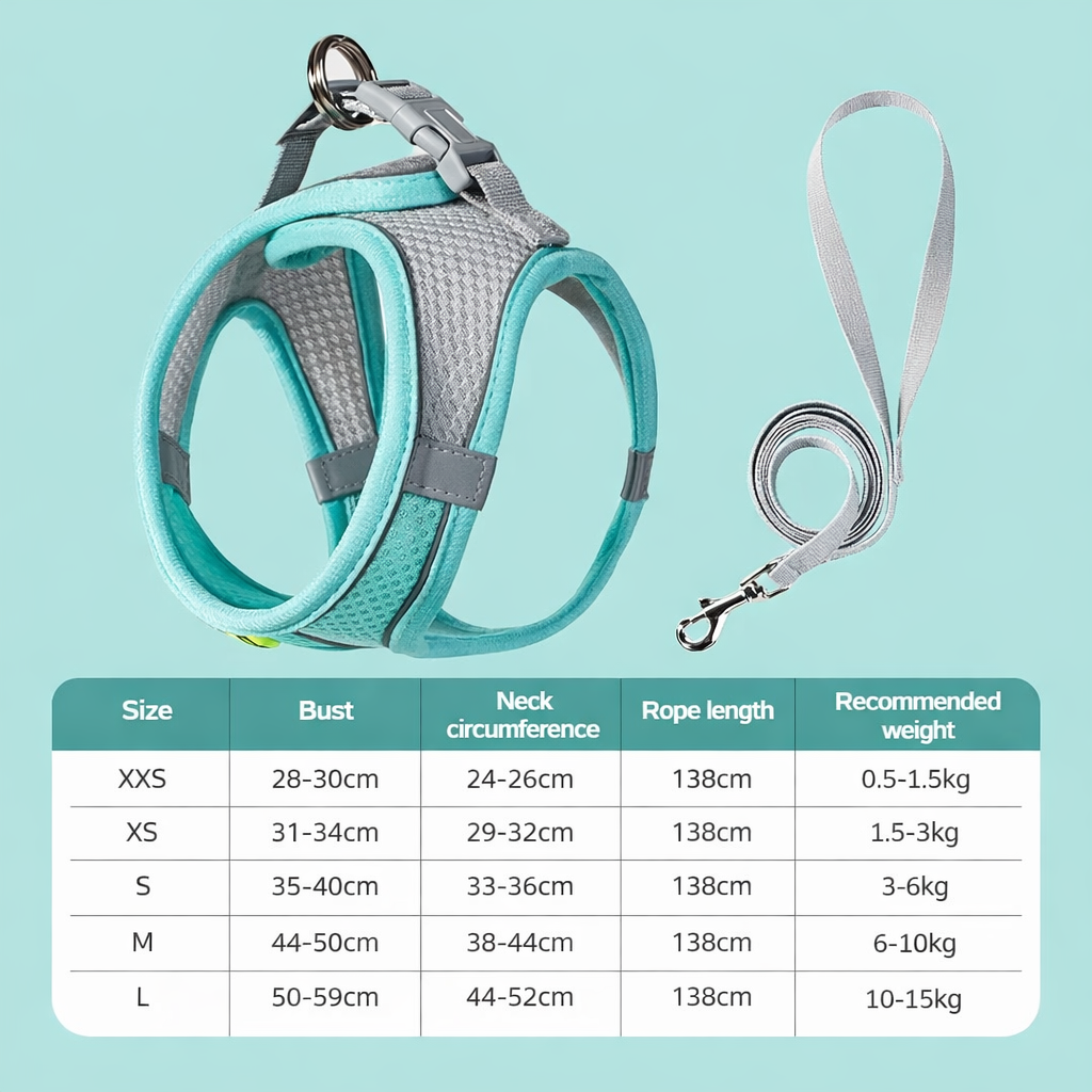 Puppy Harness Set - Adjustable Harness for Small Dogs