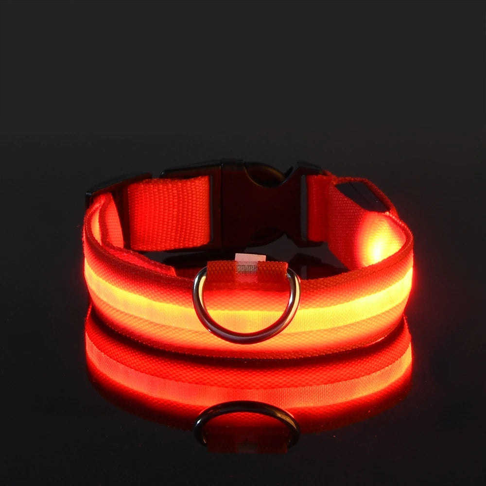 LED Dog Leash - Light-Up Night Safety Leash