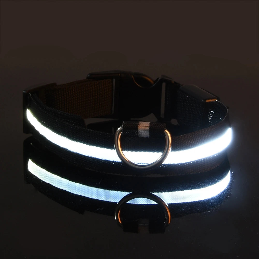 LED Dog Leash - Light-Up Night Safety Leash