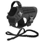 Large Dog Harness & Leash Set - Training Walking Vest