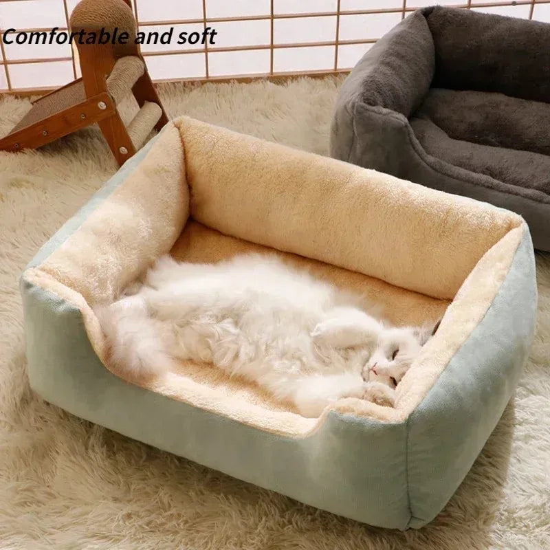 Bed for Cats Pet Products Cushions Kitten Winter Accessories Dog All Houses Supplies Things Accessory Habitats Basket House Beds