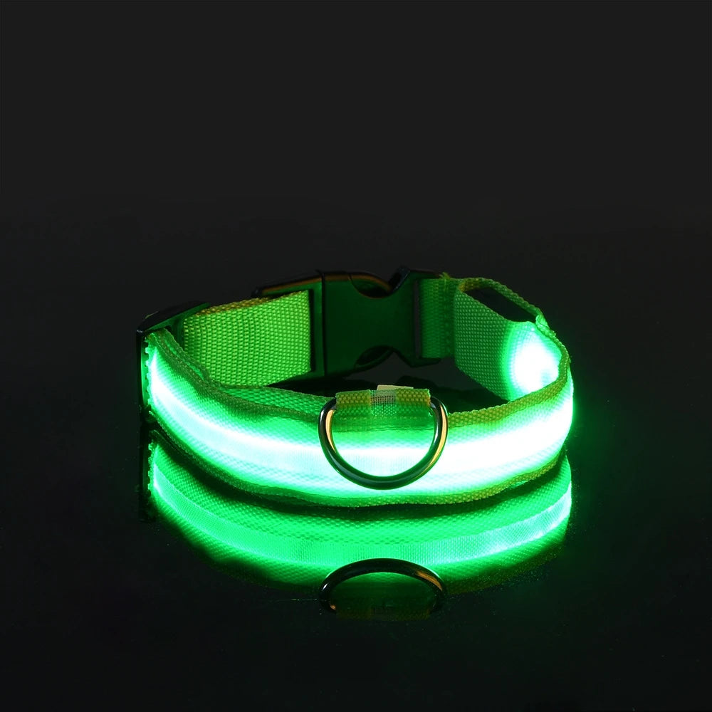 LED Dog Leash - Light-Up Night Safety Leash