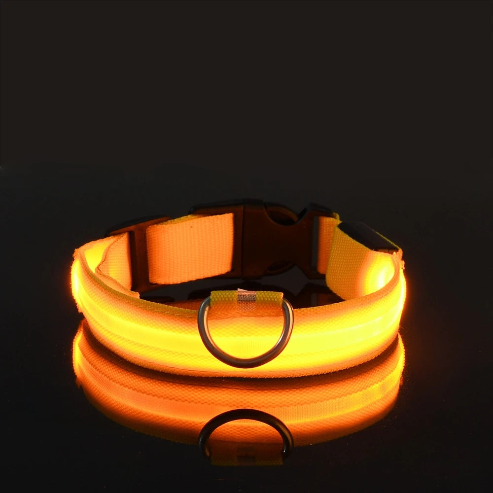 LED Dog Leash - Light-Up Night Safety Leash