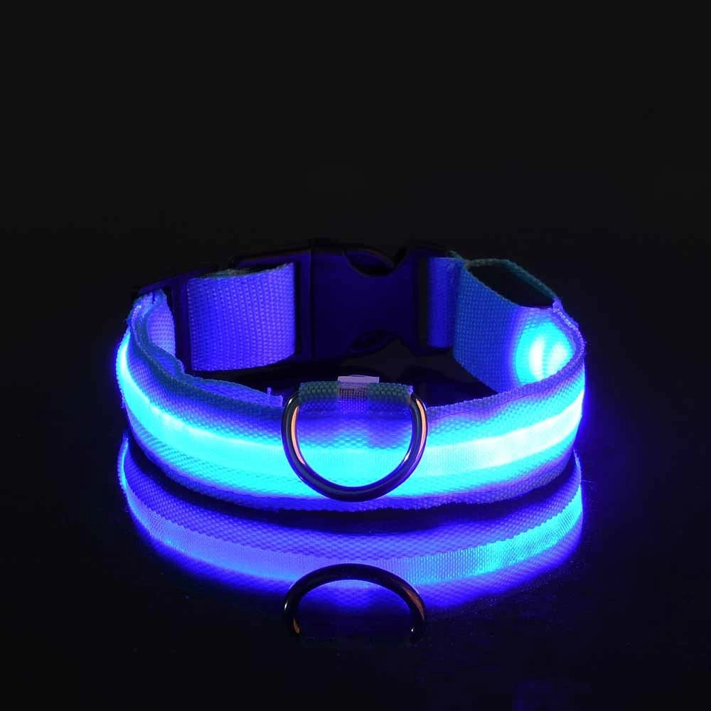 LED Dog Leash - Light-Up Night Safety Leash
