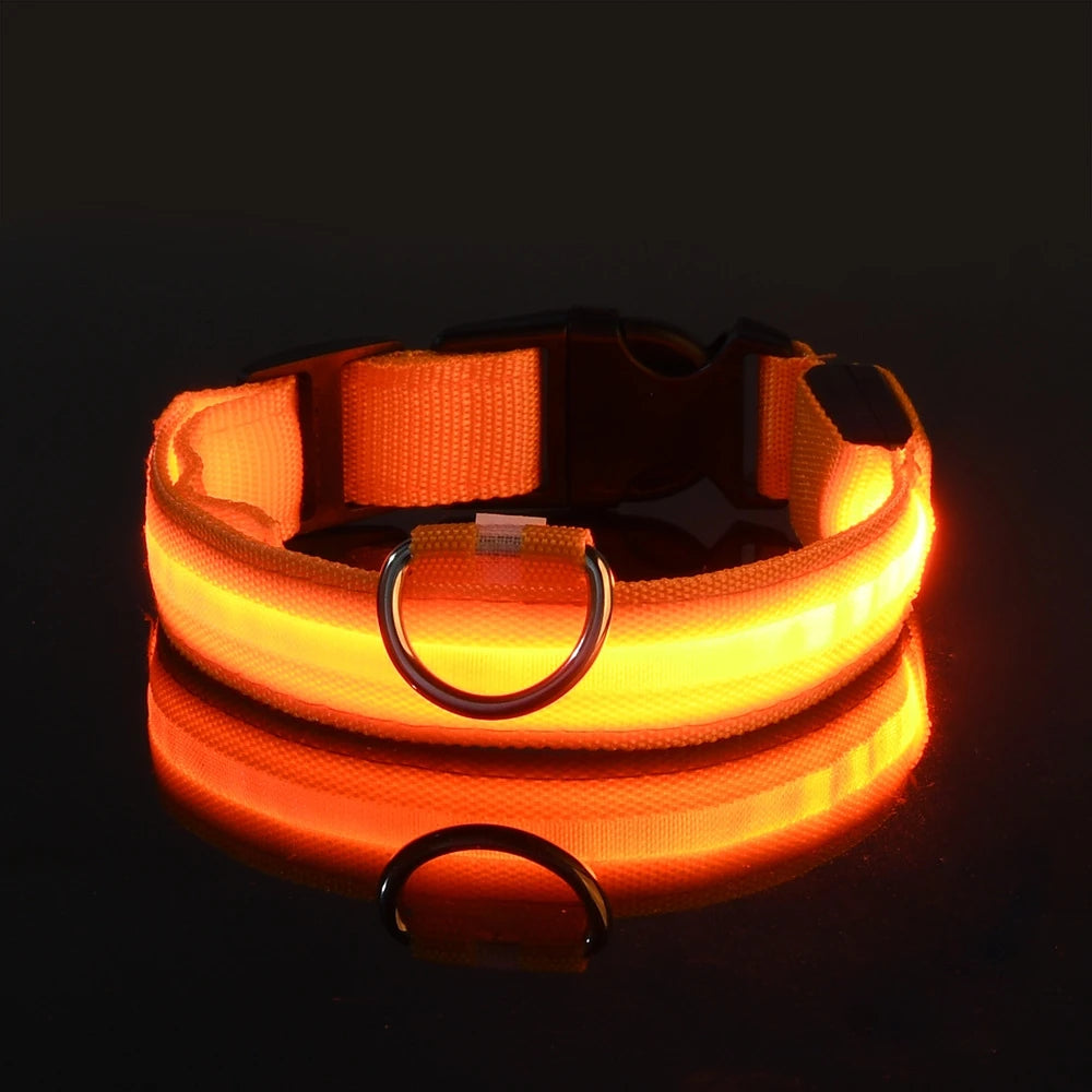 LED Dog Leash - Light-Up Night Safety Leash