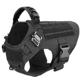 Large Dog Harness & Leash Set - Training Walking Vest