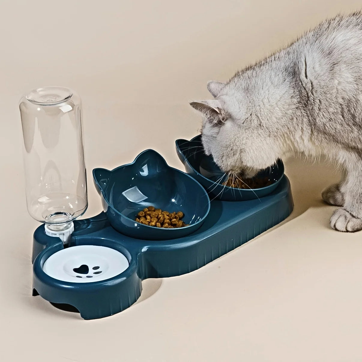 Tilted Cat Bowl Set - Ergonomic Food & Water Feeder