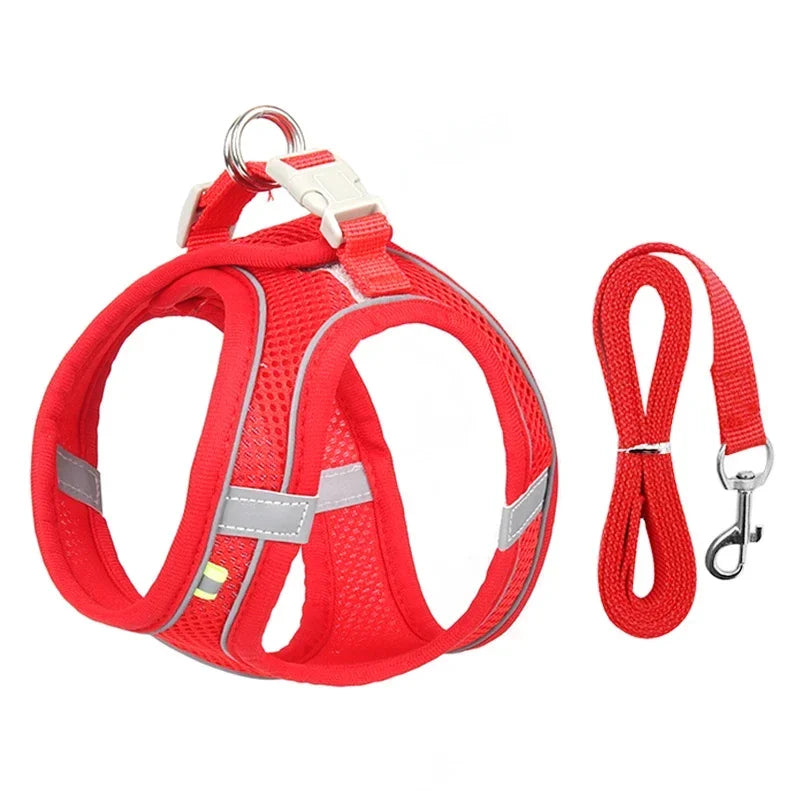 Puppy Harness Set - Adjustable Harness for Small Dogs