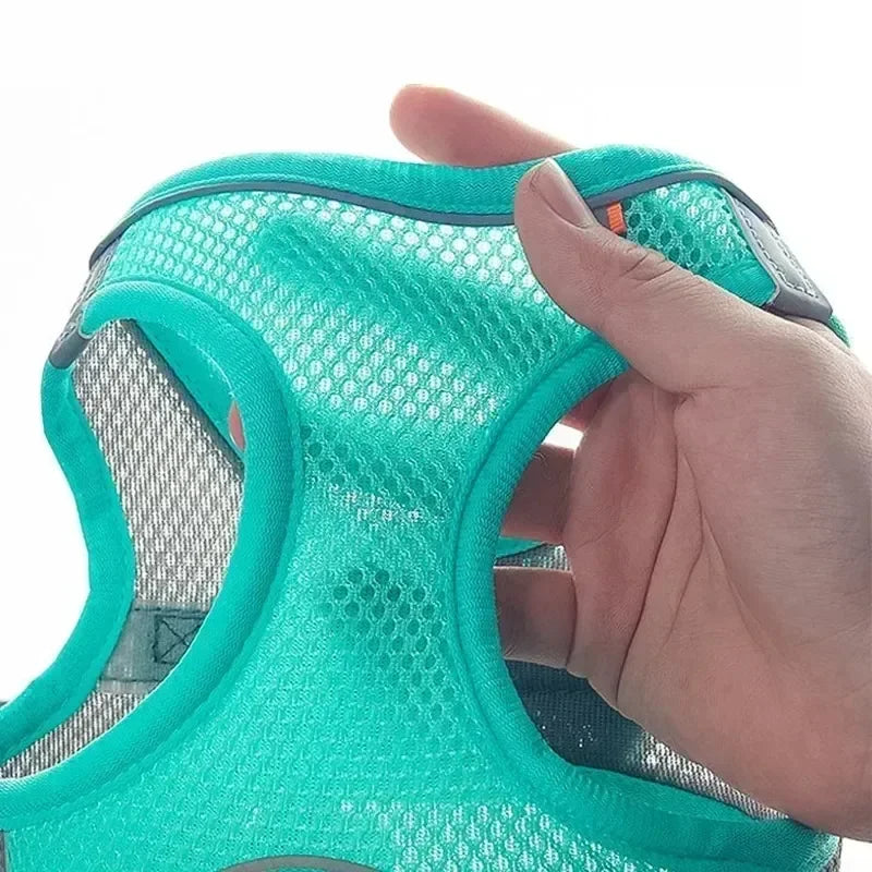 Puppy Harness Set - Adjustable Harness for Small Dogs