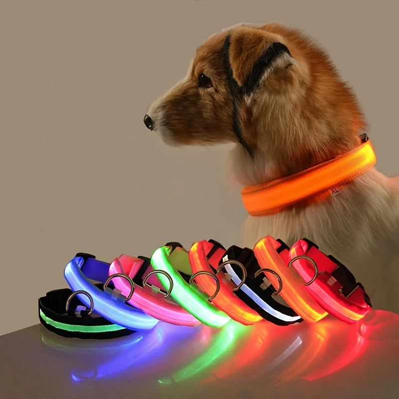 LED Dog Leash - Light-Up Night Safety Leash