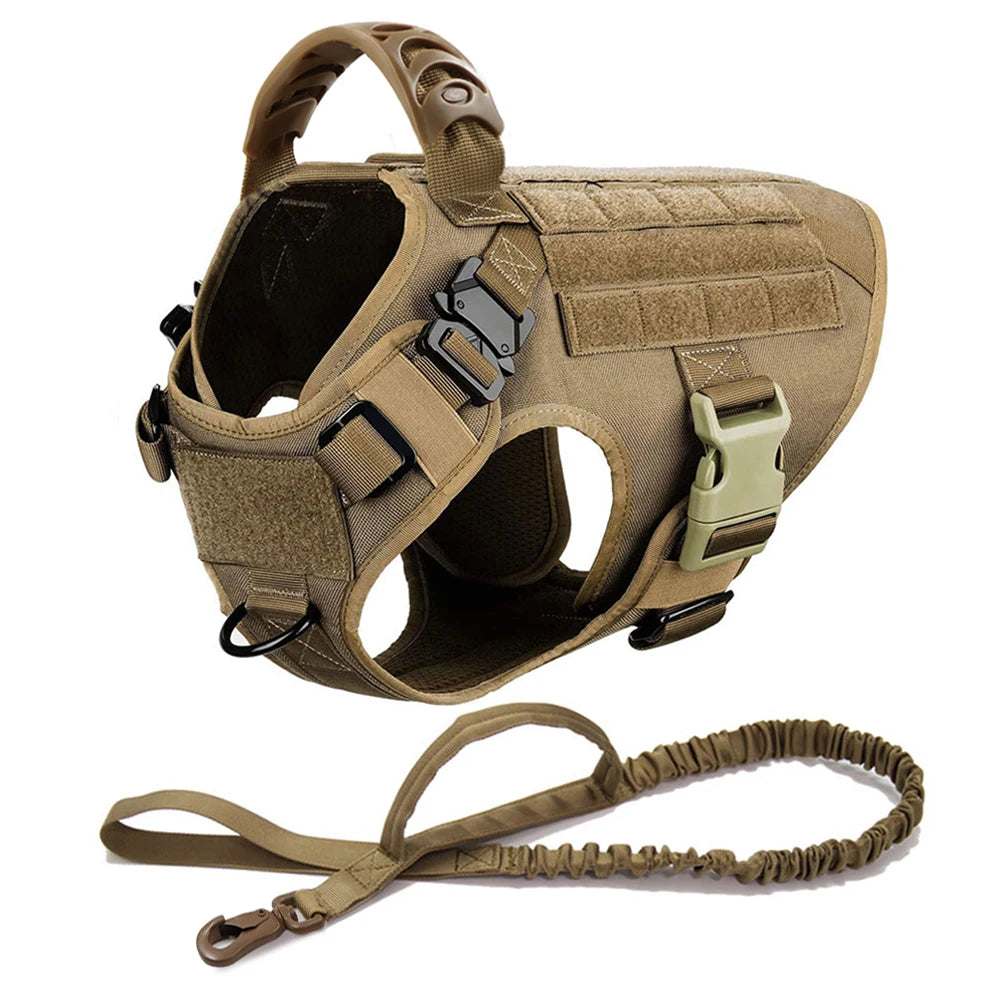 Large Dog Harness & Leash Set - Training Walking Vest