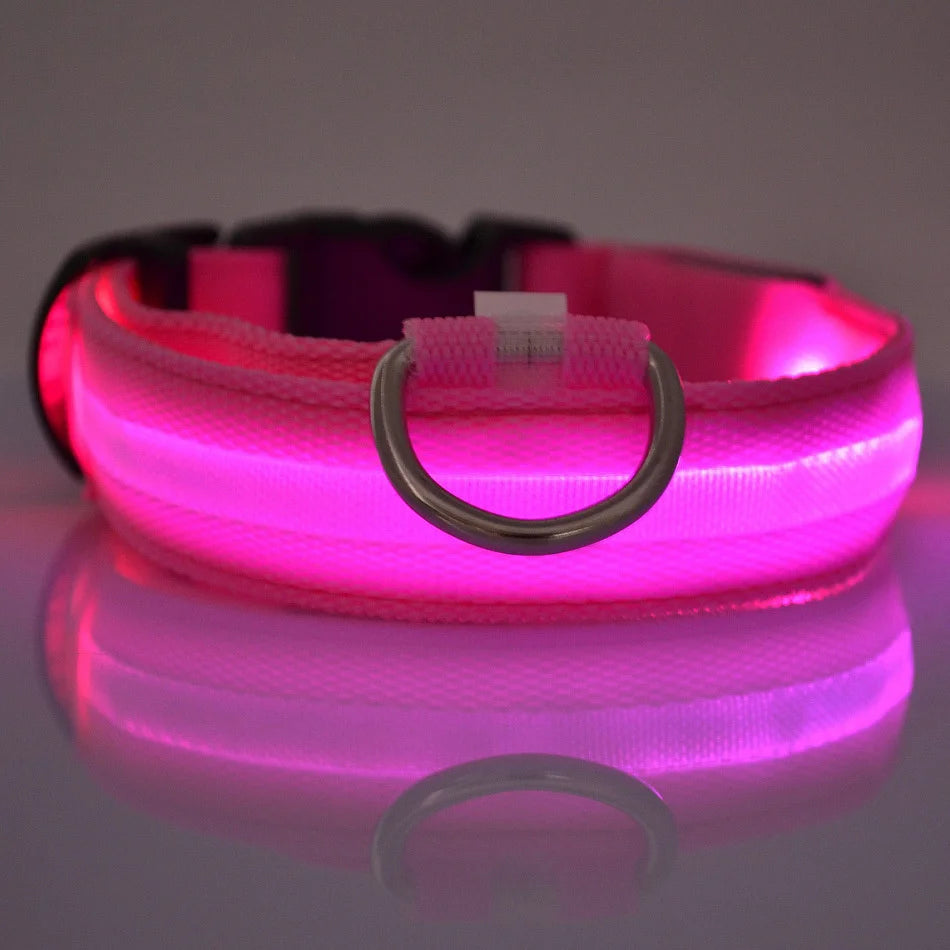 LED Dog Leash - Light-Up Night Safety Leash