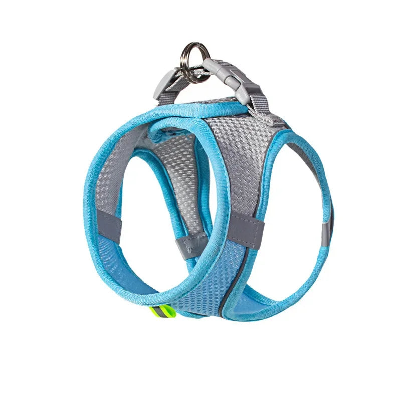 Puppy Harness Set - Adjustable Harness for Small Dogs