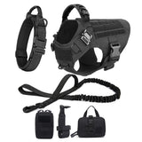 Large Dog Harness & Leash Set - Training Walking Vest
