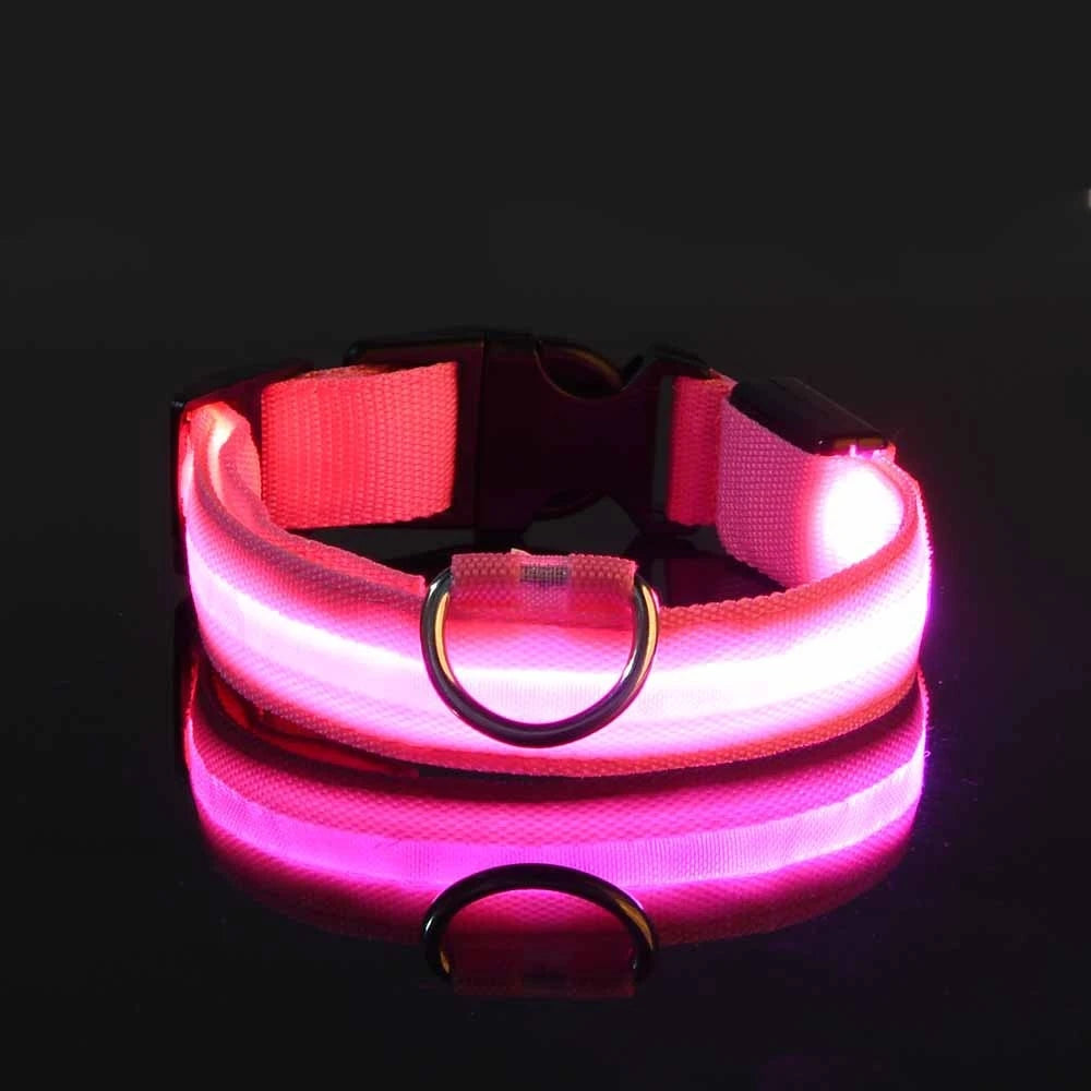 LED Dog Leash - Light-Up Night Safety Leash