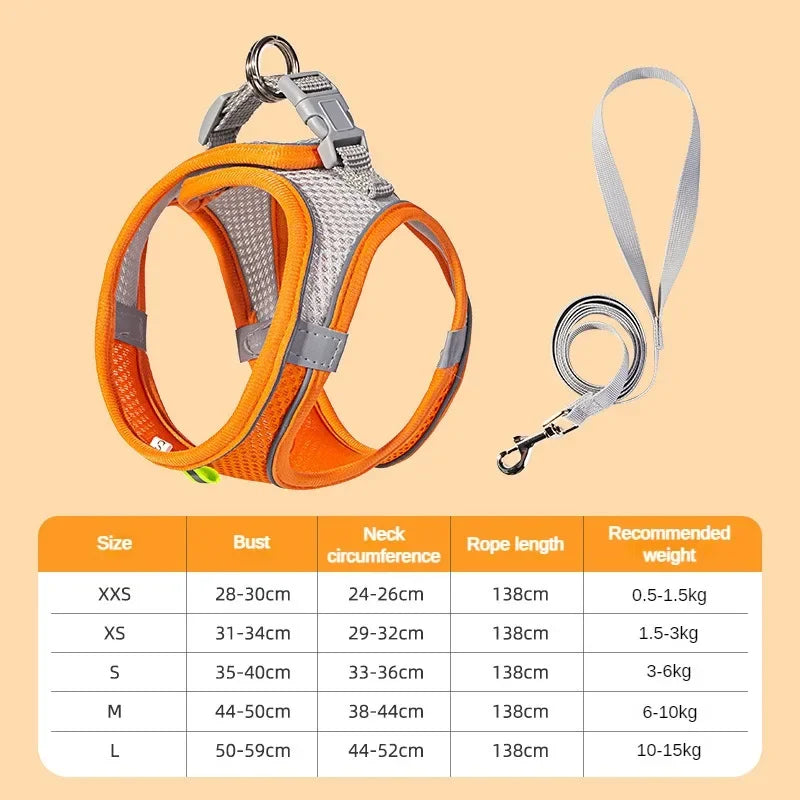 Puppy Harness Set - Adjustable Harness for Small Dogs