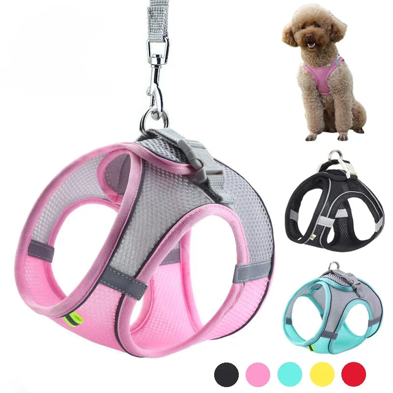 Puppy Harness Set - Adjustable Harness for Small Dogs