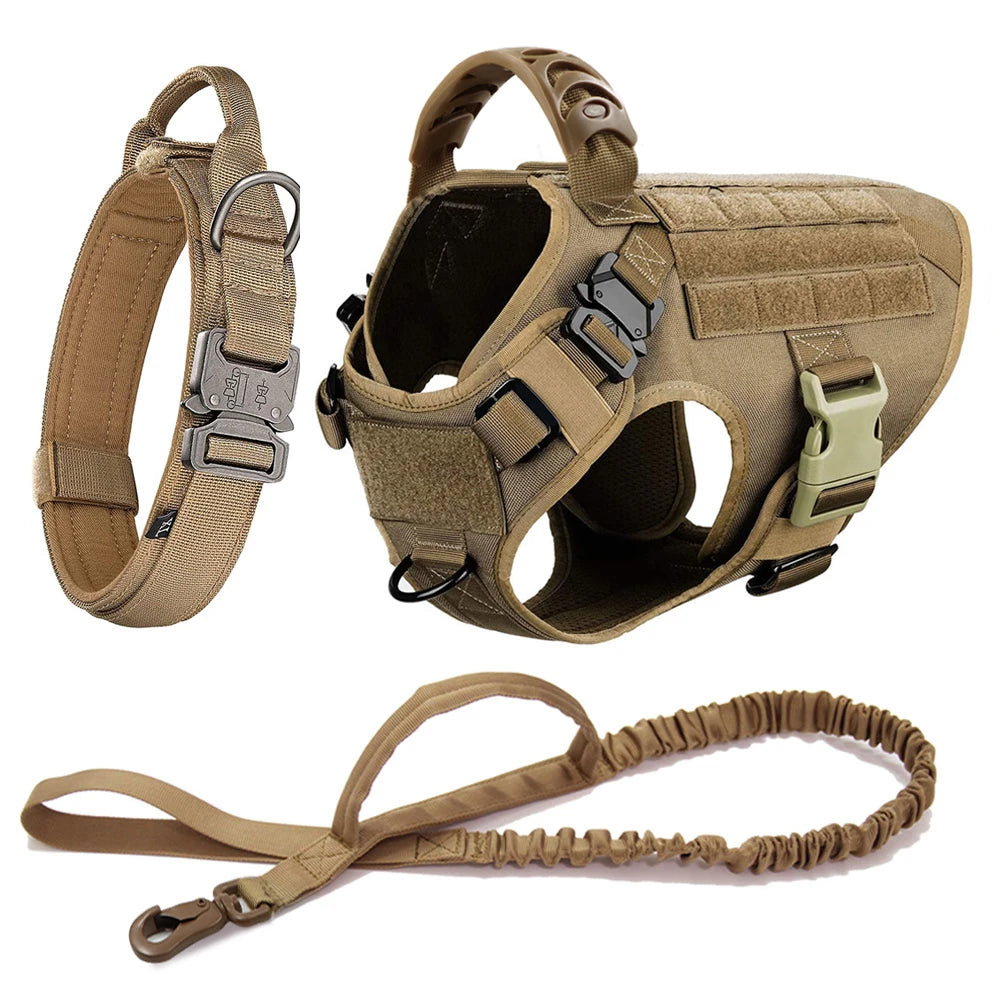Large Dog Harness & Leash Set - Training Walking Vest