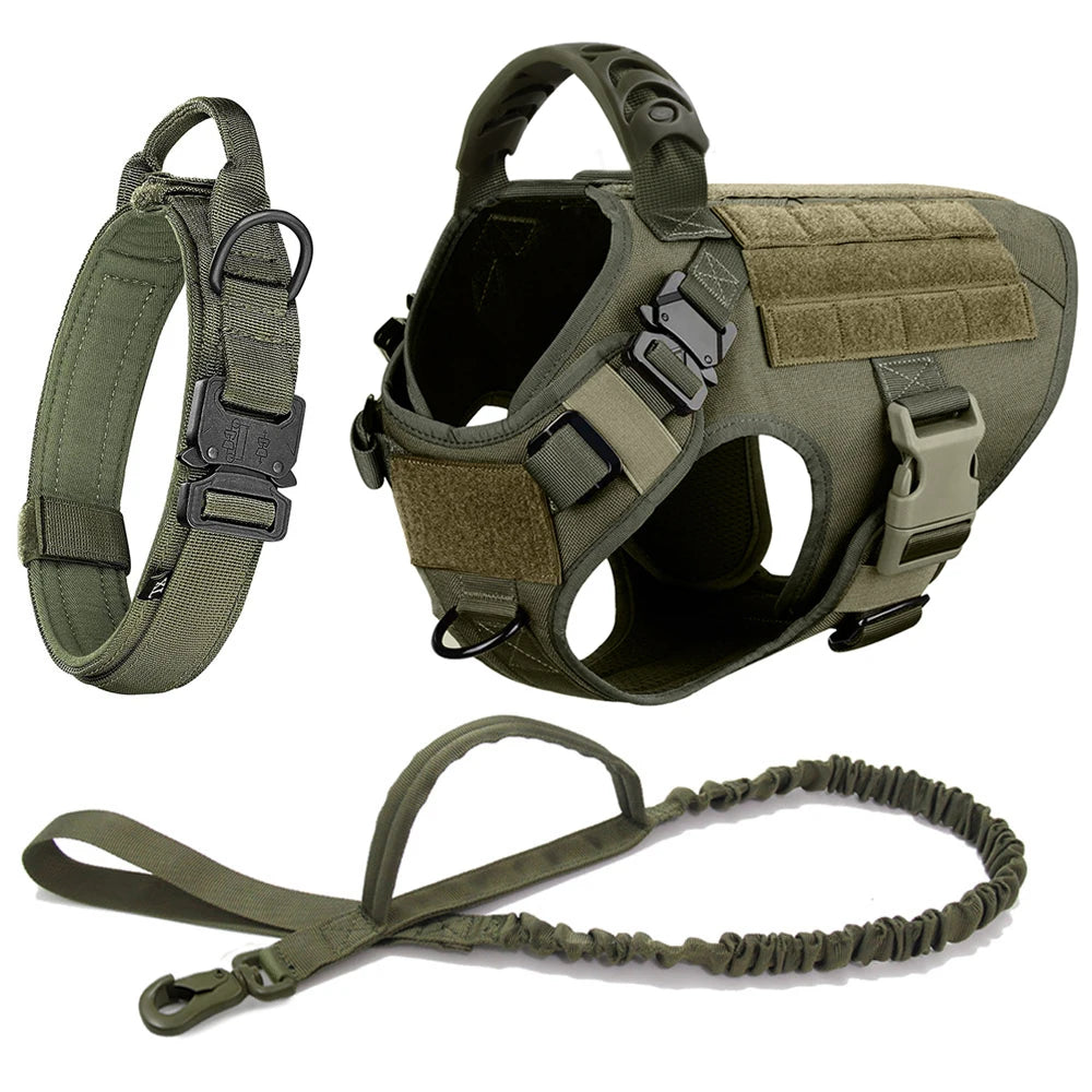 Large Dog Harness & Leash Set - Training Walking Vest